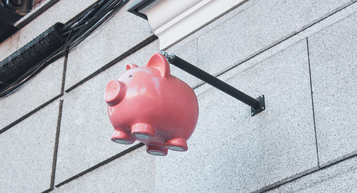  Pig Decoration Hanging on Wall - Toggle Insurance 