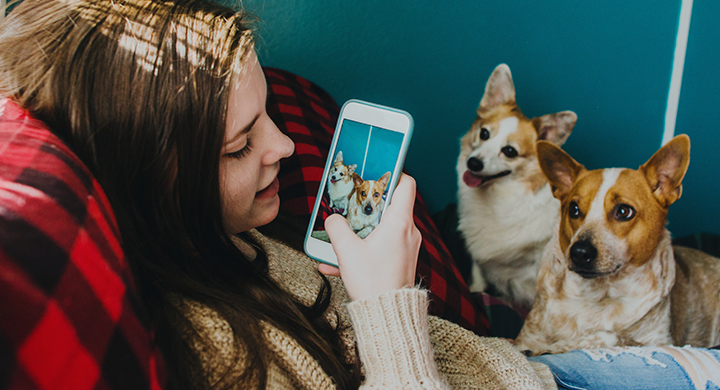 Girl Taking Photo with Her Phone of Two Dogs - Toggle Pet Parent Insurance 