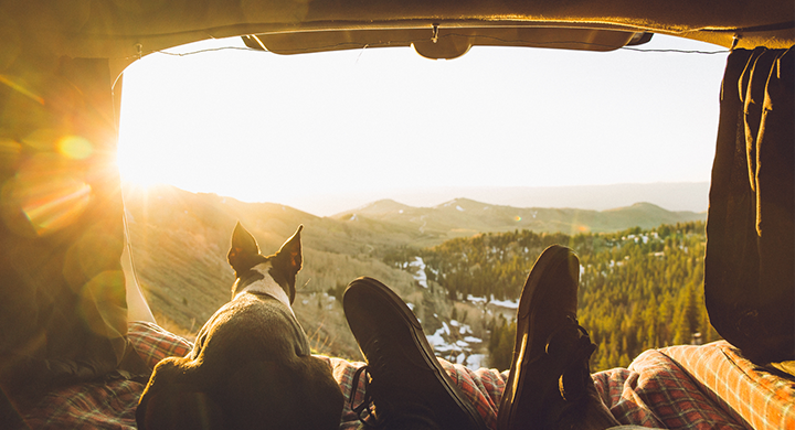 View of Mountains from Back of a Car - Toggle Pet Parent Insurance 