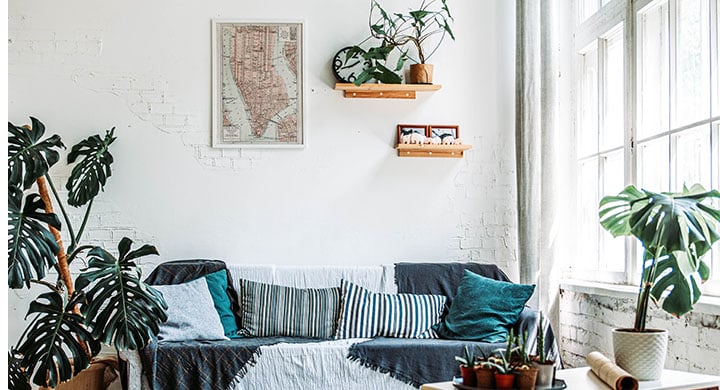 Living Room with Plants 