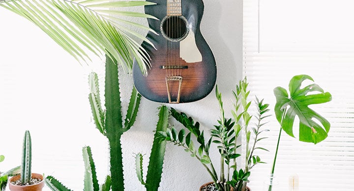 Guitar and Pants as Decor for a Wall - Toggle Renters Insurance