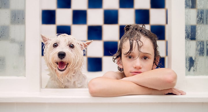 Boy with a Dog in the Bath - Toggle Renters Insurance