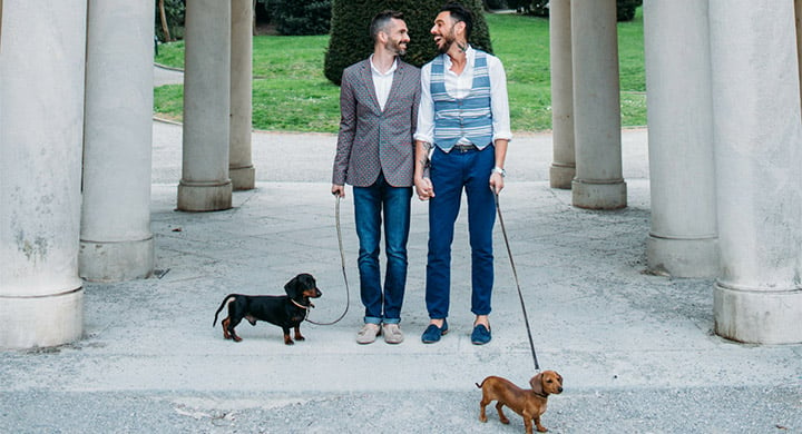 Couple Walking Dogs - Toggle Pet Insurance