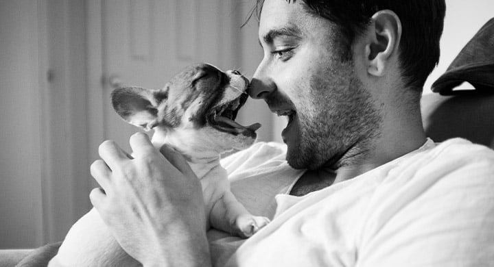 Dog Licking a Man - Toggle Pet Insurance