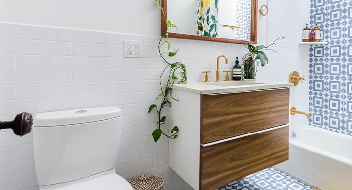 Bathroom with Plants - Toggle Insurance